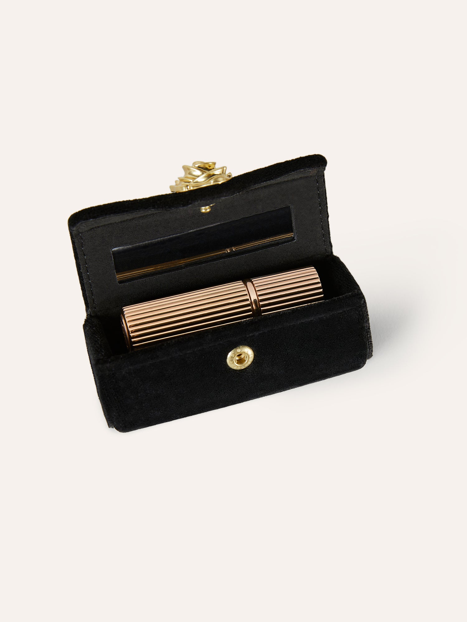 Estuche LIPS